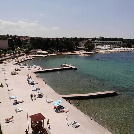 Sain With Garden Terrace Near The