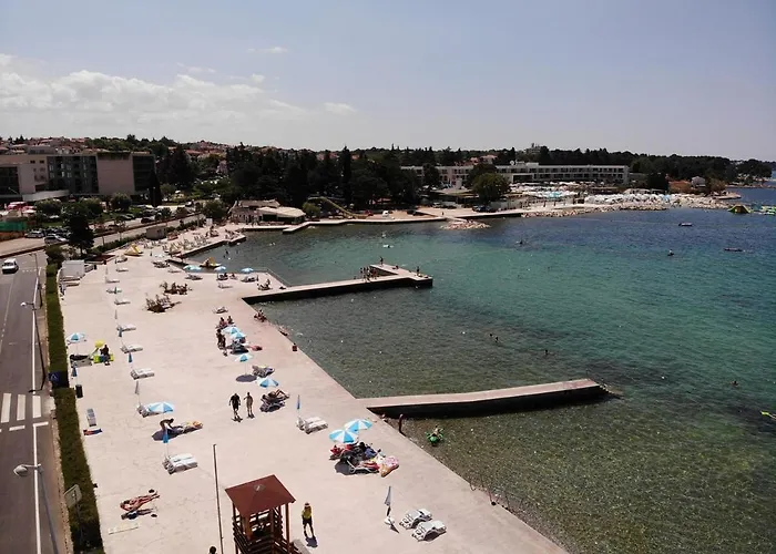 Sain With Garden Terrace Near The