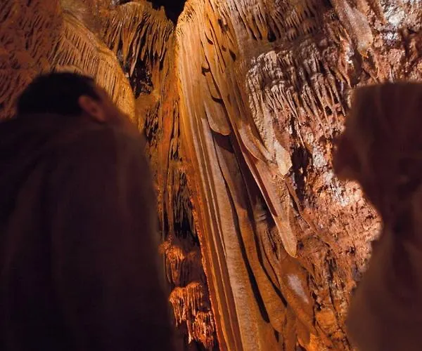 Sain With Garden Terrace Near The