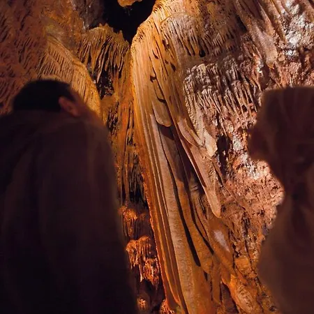 Sain With Garden Terrace Near The