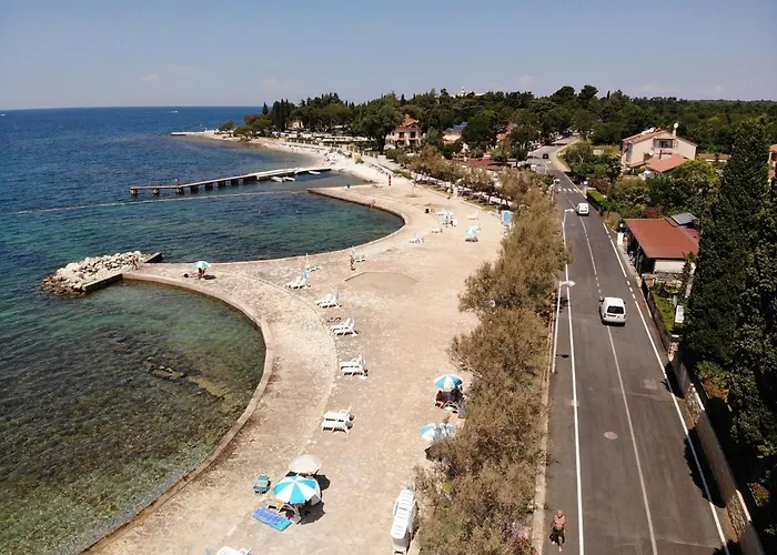 Sain With Garden Terrace Near The Gasthuis 3*