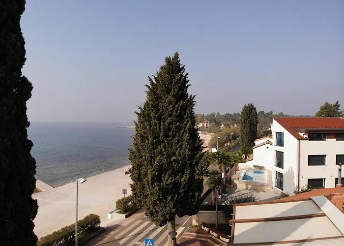 Sain With Garden Terrace Near The Gasthuis 3*