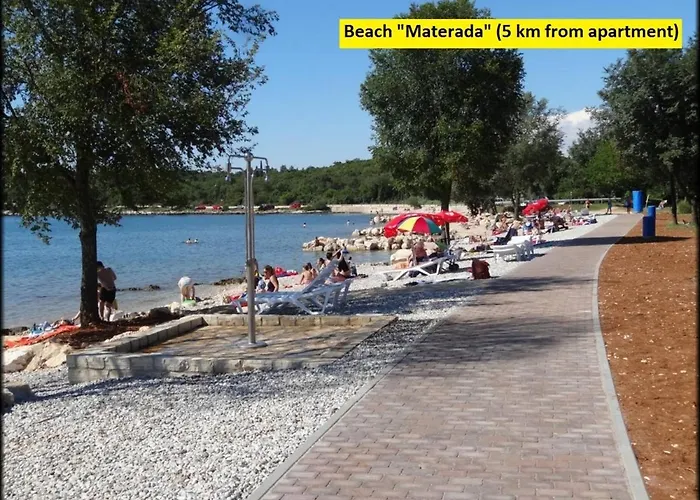 Sain With Garden Terrace Near The